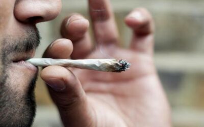Guida per un fumatore Novizio sul corretto uso di cannabis