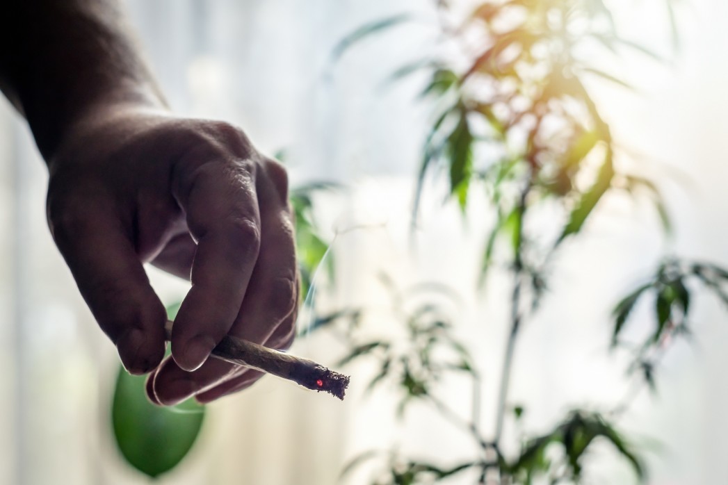 Quando prendere il CBD? Quando prendere il CBD?